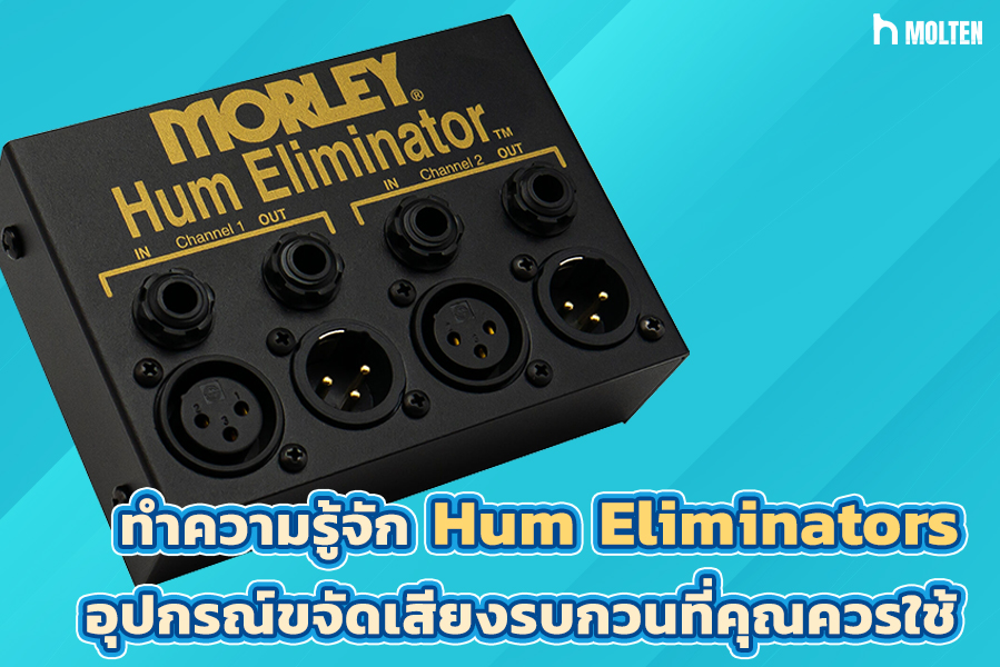 1.ทำความรู้จัก Hum Eliminators อุปกรณ์ขจัดเสียงรบกวนที่คุณควรใช้