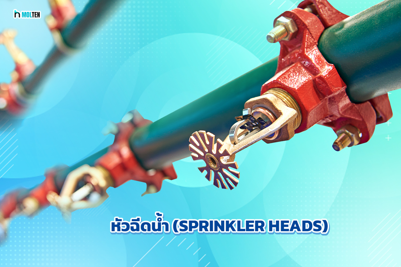 2. หัวฉีดน้ำ (Sprinkler Heads)