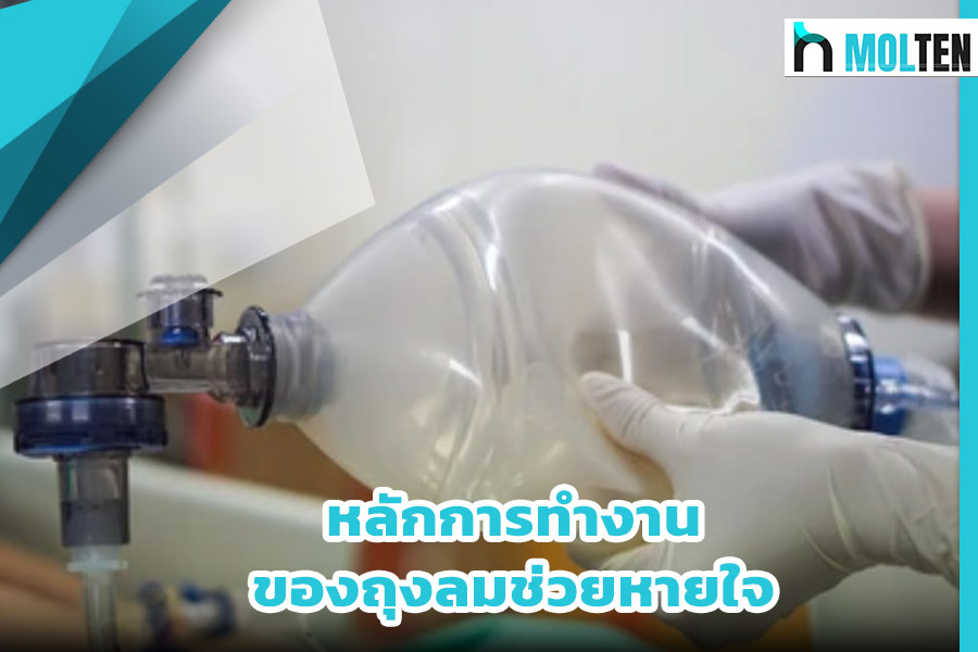 หลักการทำงานของถุงลมช่วยหายใจ